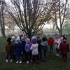 16 Zaadoptowane drzewo